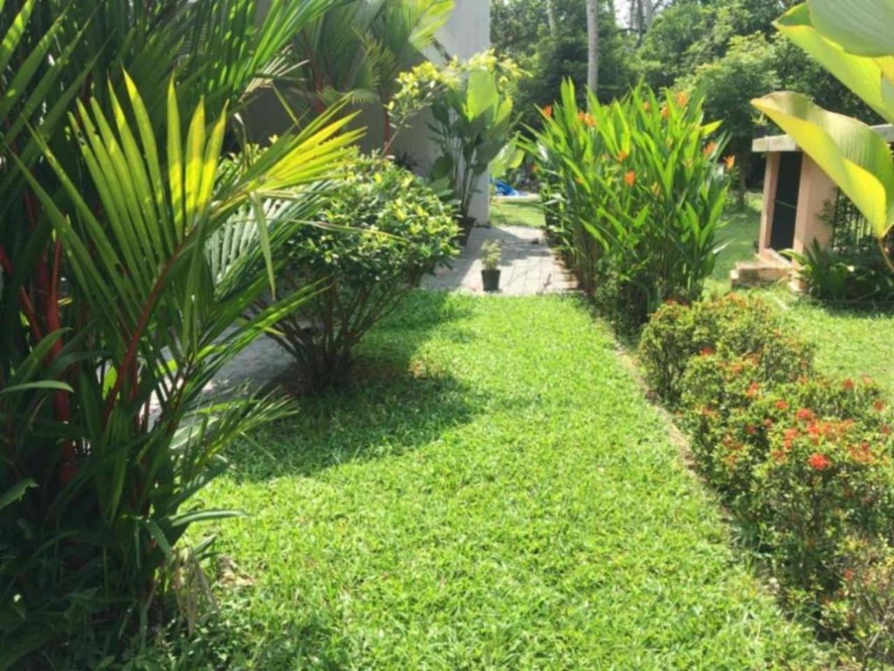 White Butterfly - A Countryside Homestay Thiruvananthapuram Exteriér fotografie